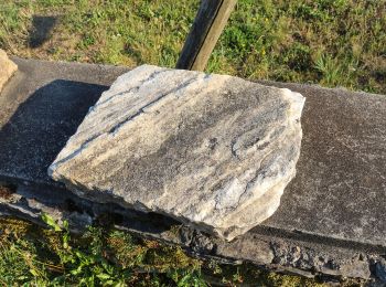 Trail On foot Moosburg - Tigring: 21 Teiche-Runde - Photo