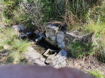 Excursión Senderismo Plan-de-Cuques - La Montade les 4 chemins - Photo