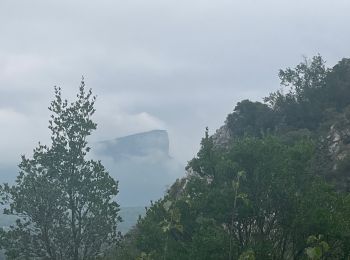 Trail Walking Cazevieille - Cazevieille la Jasse, Sauzet - Photo