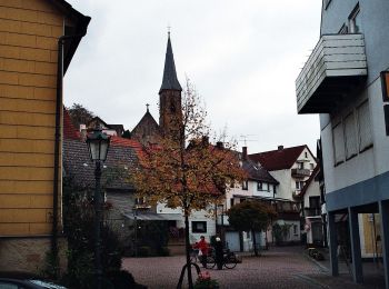 Tocht Te voet Bad Soden-Salmünster - Bad Soden-Salmünster Wanderweg Nr. 10 - Photo