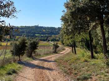 Randonnée Marche Argelliers - argelliers - Photo