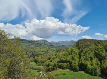 Percorso Marcia La Bourboule - Dordogne-StRoch-Liournat_fohet - Photo