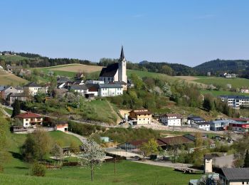 Randonnée A pied Pabneukirchen - Schnitzer-Rundweg - Photo