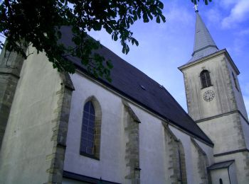 Randonnée A pied Windhaag bei Perg - Falkensteinweg - Photo