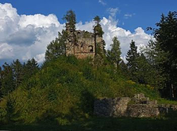 Tocht Te voet Slovenj Gradec - Zelena pot z zgodbo - Photo