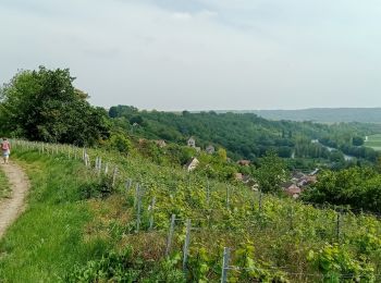 Excursión Senderismo Crouttes-sur-Marne - Crouttes-sur-Marne du 20-05-2023 - Photo