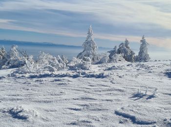 Tocht Sneeuwschoenen Véranne - crets de l'oeillon - Photo