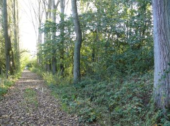 Trail On foot Aalst - Vossewegel - Photo