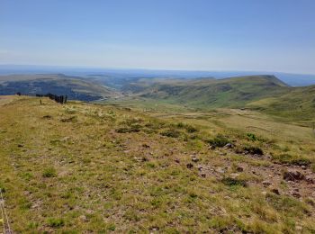 Tocht Stappen Albepierre-Bredons - boucle plomb du cantal du col de prat de bouc - Photo