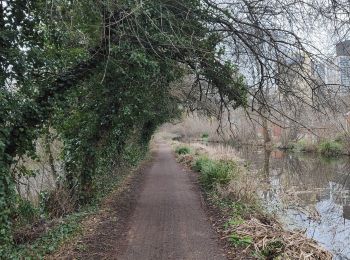 Percorso Marcia Woking - Lac de Goldsworth park par le canal  - Photo