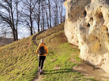 Trail Walking Maastricht - La Montagne Saint-Pierre, une multitude de paysages - Photo