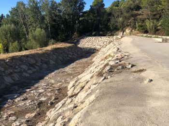 Excursión Bici de montaña Sarrians - Circuit du canal jusqu’au bassin de rétention.  - Photo