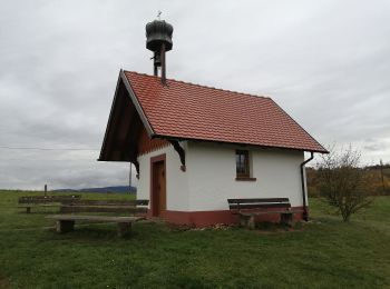 Excursión A pie Lahr/Schwarzwald - Beim dreieckigen Bannstein- Grüner Platz - Photo