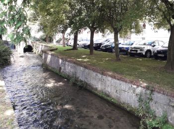 Randonnée Marche Darnétal - Darnétal- Le Bois du Roule vers Roncherolles - Photo