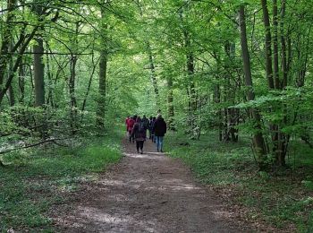 Randonnée Marche L'Isle-Adam - J muguet - Photo