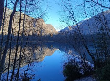 Tour Wandern Le Bourg-d'Oisans - Lac de Buclet et cascade de la Pisse - Photo