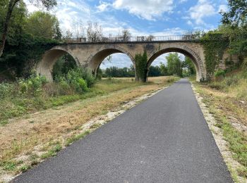 Randonnée Vélo de route Louvemont - 24 08 2020 WASSY  - Photo