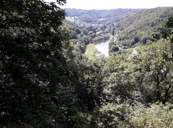 Randonnée Marche Bouillon - rochehaut 180620 - Photo