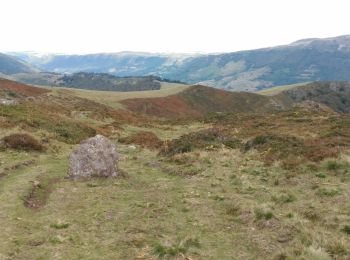 Excursión Senderismo Le Falgoux - Randonnée en aller -retour du Pas de Peyrol à la brèche d'Enfloquet - Photo