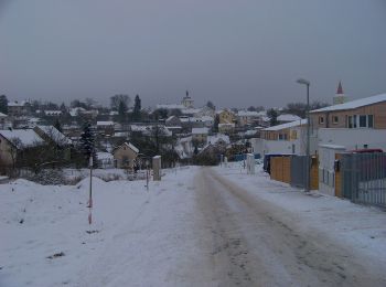 Randonnée A pied Petrov - [Č] Jílovské vyhlídky - okruh - Photo