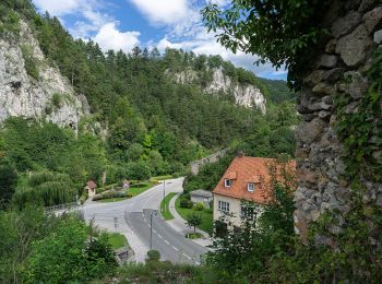 Randonnée A pied Gemeinde Schottwien - Schottwien - Eselstein - Photo