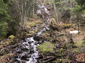 Trail Walking Chamrousse - Lac des Pourettes - Photo