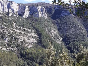 Trail Walking Grabels - serre grenouillet  - Photo