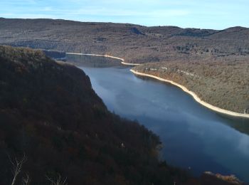 Randonnée Marche Moirans-en-Montagne - Moirans La grande lésine - Photo