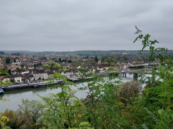 Trail Walking Champagne-sur-Seine - Champagne sur Seine 241103 - Photo