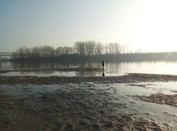 Excursión A pie Taino - Anello delle castagne - Photo