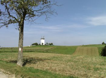 Tour Zu Fuß Münchenbernsdorf - Rundwanderweg Münchenbernsdorf - Photo