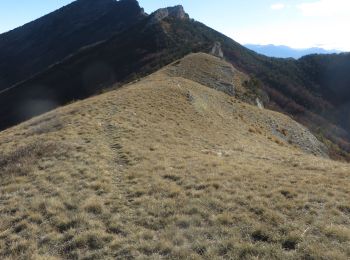 Percorso Corsa a piedi Le Saix - Trail 10 - La Traversée d'Aujour - Photo