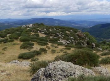 Excursión Senderismo Saint-Étienne-de-Boulogne - Le Rastelas 14km - Photo