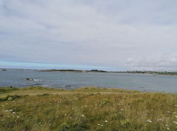 Tocht Stappen Lampaul-Ploudalmézeau - dunes 3 moutons 2020 - Photo