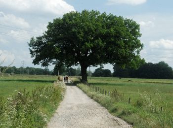 Tocht Te voet Aken - Forsthausrundweg - Photo