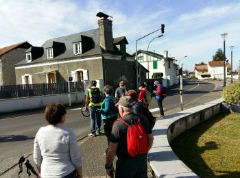 Tocht Stappen Rontignon - RONTIGNON le chemin des crêtes  M2 fait  2644181 - Photo