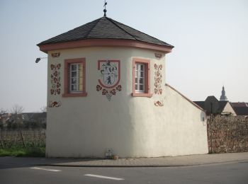 Randonnée A pied Dirmstein - Chorbrünnel-Rundweg - Photo