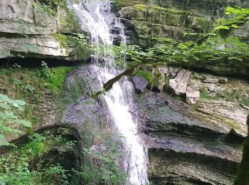 Randonnée Marche Coteaux du Lizon - les gorges du lison - Photo