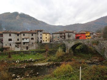 Trail On foot Castelnuovo di Garfagnana - Il Sentiero dell'Ariosto - Photo