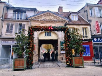 Trail Walking Château-Landon - De Château Landon à Nemours - Photo