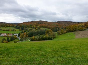 Excursión A pie Fischbachtal - Verbindungsweg 