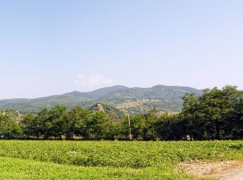 Tour Zu Fuß  - Bixad - Ozunca-Băi - Photo