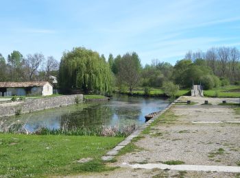 Tocht Stappen Le Vanneau-Irleau - Le Vanneau-Irleau - Photo