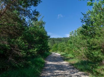 Randonnée Marche Espeluche - Bois-Jamot-Espeluche 11km - Photo