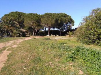 Percorso A piedi Alghero - sentiero giallo - Photo