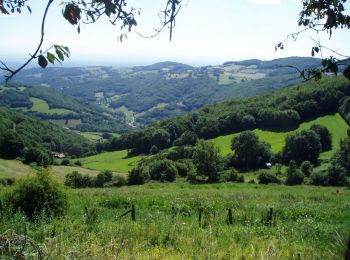 Randonnée A pied Pollionnay - Col De La Luère - L'Arbresle - Ste Concorce - Photo