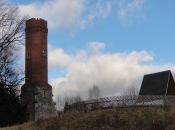 Percorso A piedi Schneeberg - Ww Keilberg - Forstteich - Photo