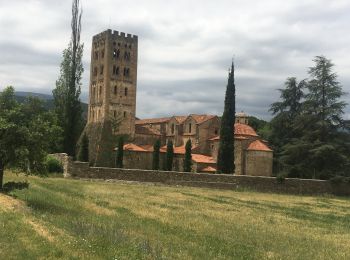 Randonnée Marche Codalet - Codalet /Taurinya / St Michel de cuca - Photo