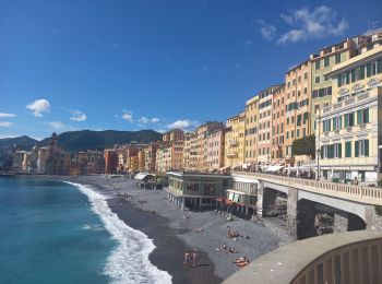 Tocht Stappen Camogli - Punta Chiara 2.5.23 - Photo