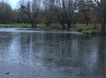 Tocht Stappen Heillecourt - Heillecourt / Fleville - Photo